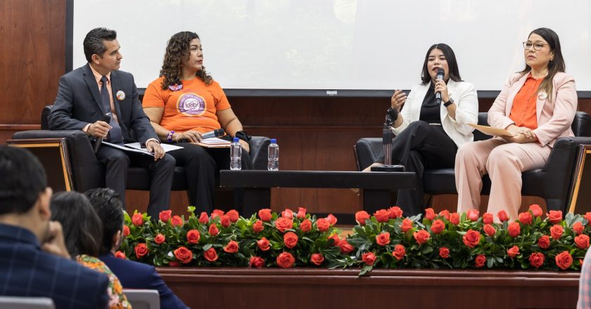 panel “La Ley Vicaria: Perspectivas desde el Ámbito Judicial y Social”