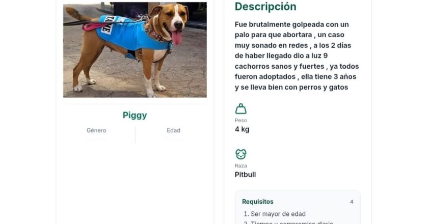 Adopta, cambia una vida