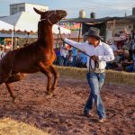 EXHIBICIÓN Y PREMIOS EN EL CIERRE DE LA EXPO GANADERA