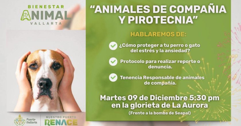 Gobierno del Bien enseñará cómo proteger a los animales ante la pirotecnia