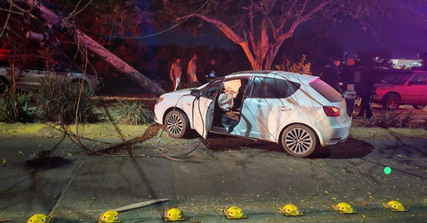 Atienden Bomberos Estatales hecho de tránsito en Tepic