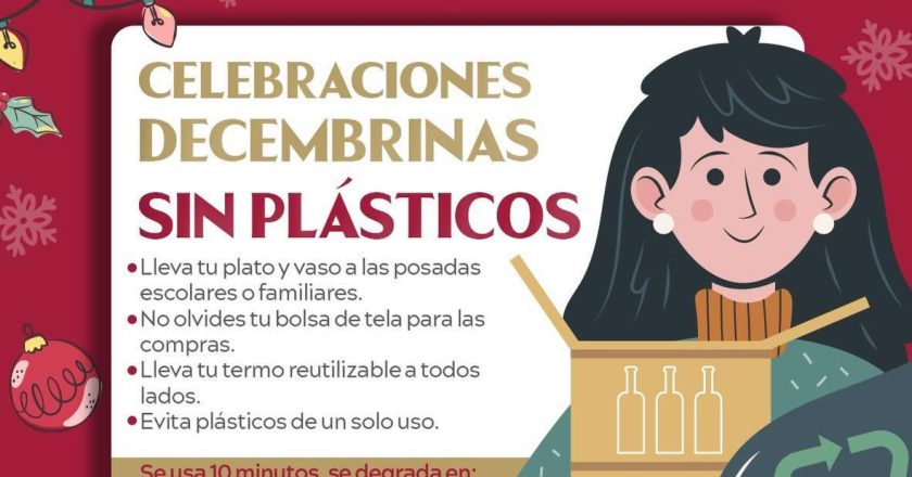 CELEBRA DICIEMBRE SIN PLÁSTICO Y CUIDA EL PLANETA