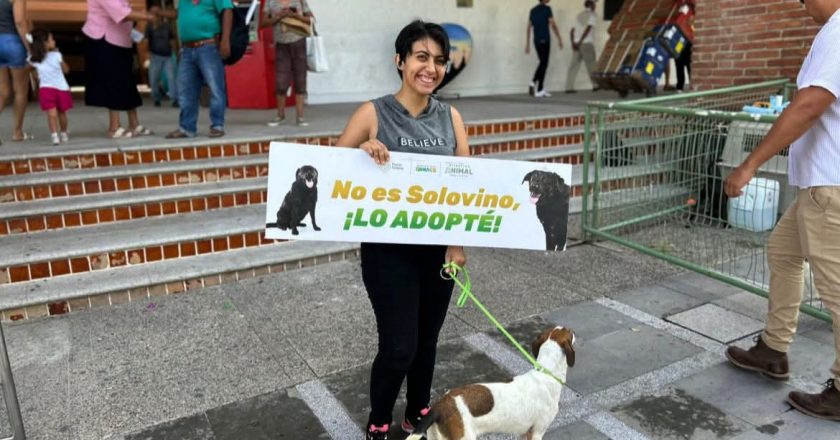 ¡Adopta y cambia una vida! Jornada de adopción animal en el Parque Lázaro Cárdenas