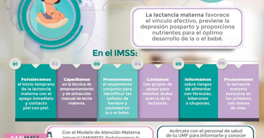 LA LACTANCIA MATERNA: AMOR, SALUD Y BENEFICIOS PARA MAMÁ Y BEBÉ