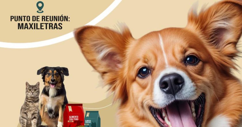 RODADA CON CAUSA: CROQUETÓN 2026