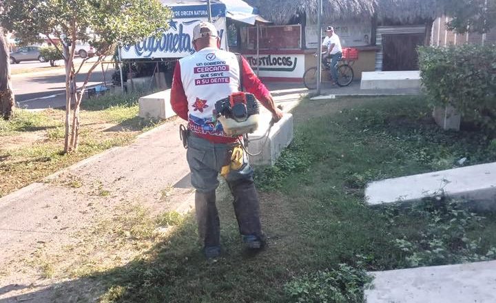 LIMPIEZA DE ÁREAS VERDES EN ACAPONETA