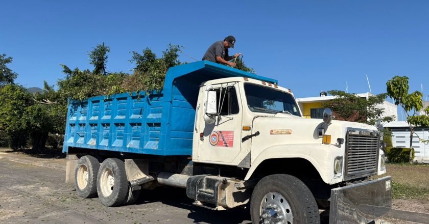PODAS Y LIMPIEZA EN ESPACIOS PÚBLICOS