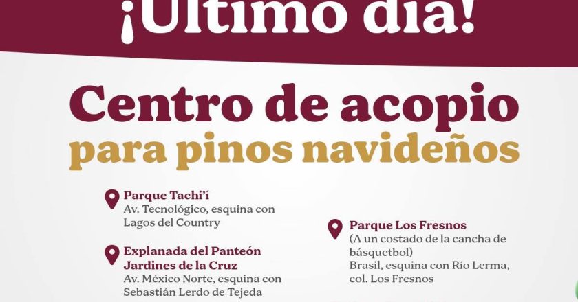 ÚLTIMO DÍA PARA LLEVAR TU PINO A RECICLAJE