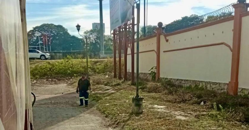 LIMPIAN ÁREA VERDE EN FRACCIONAMIENTO CASTILLA