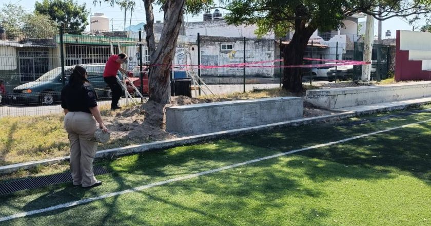 AVISO: PRESENCIA DE ABEJAS EN CANCHA DE LANDAREÑAS