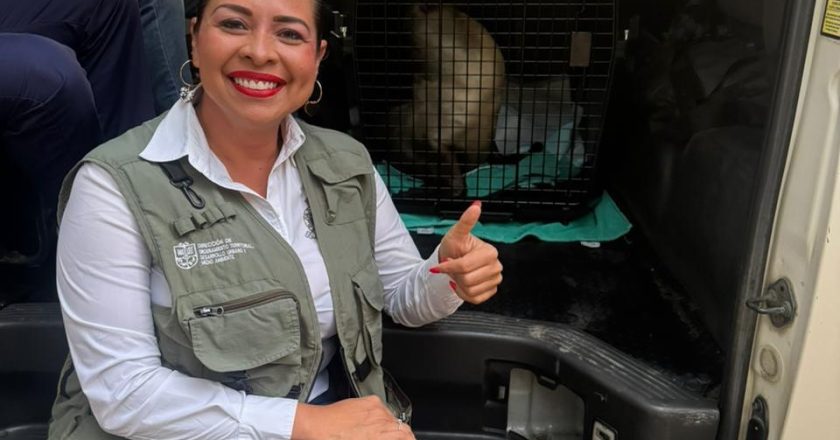 HÉCTOR SANTANA APOYA CIRUGÍA DE “MARQUITOS”