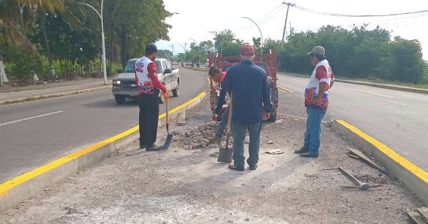 MEJORA IMAGEN URBANA EN BULEVAR DE ACCESO