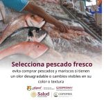 ¡ALERTA SANITARIA EN CUARESMA! COESPRISNAY LLAMA A EXTREMAR PRECAUCIONES EN EL CONSUMO DE MARISCOS