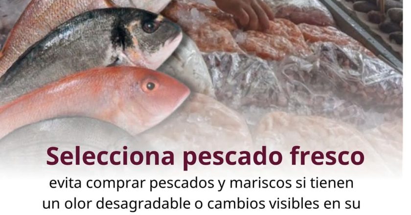 ¡ALERTA SANITARIA EN CUARESMA! COESPRISNAY LLAMA A EXTREMAR PRECAUCIONES EN EL CONSUMO DE MARISCOS