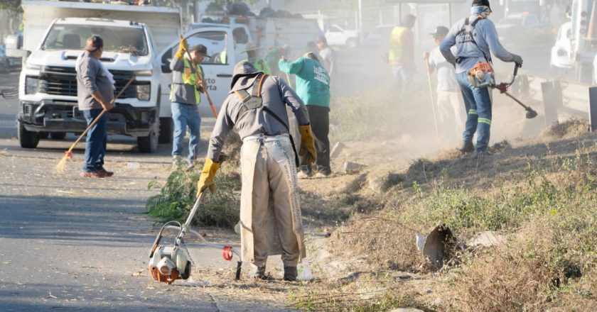 Rehabilitan camellones en la zona norte de Puerto Vallarta