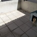 Atiende SSPC reporte de maltrato canino en Tepic