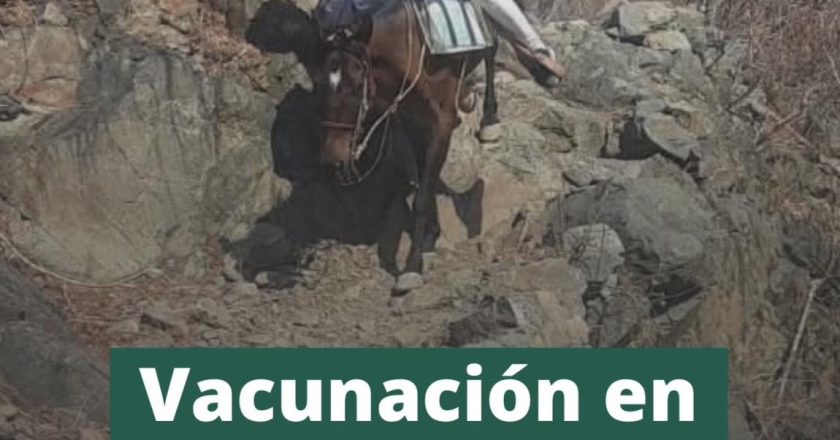 VACUNAS LLEGAN A ZONAS SERRANAS DE NAYARIT