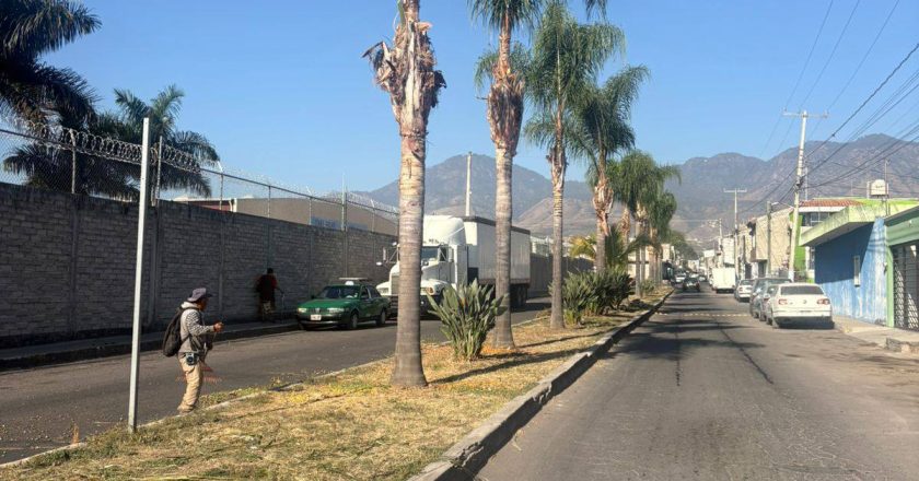 LIMPIEZA EN PLAZA Y VIALIDADES DE XALISCO