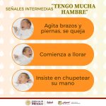 LA LACTANCIA MATERNA, CLAVE PARA UN DESARROLLO SALUDABLE