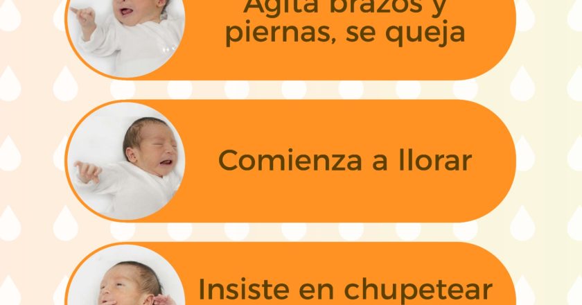 LA LACTANCIA MATERNA, CLAVE PARA UN DESARROLLO SALUDABLE