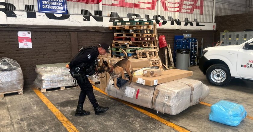 REFUERZAN SEGURIDAD EN TEPIC CON OPERATIVO BOI E INSPECCIONES EN PAQUETERÍAS