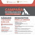 ¡CAMPAÑA DE ESTERILIZACIÓN CANINA Y FELINA EN CUMBRES DE HUICICILA!