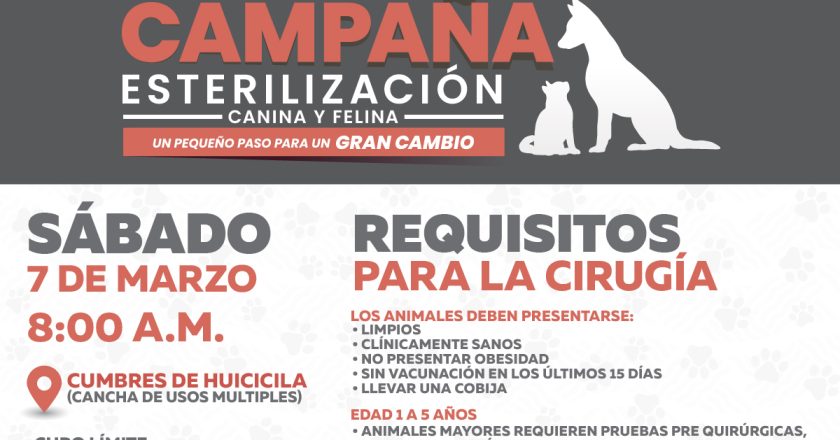 ¡CAMPAÑA DE ESTERILIZACIÓN CANINA Y FELINA EN CUMBRES DE HUICICILA!