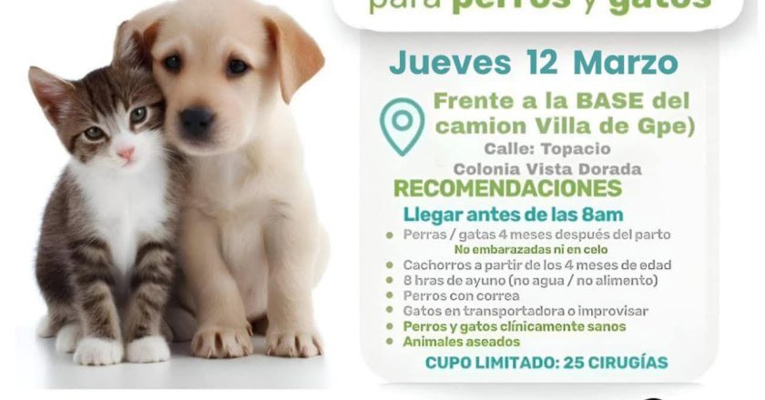 ¡ATENCIÓN! PRÓXIMA JORNADA DE ESTERILIZACIÓN GRATUITA PARA PERROS Y GATOS