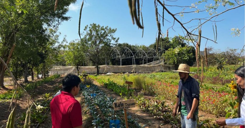 ESTUDIANTES DE LA UTM VIVEN EXPERIENCIA SUSTENTABLE EN TAO DE JADE EN COMPOSTELA