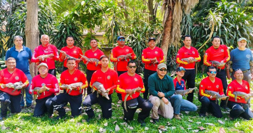 CAPACITAN A RESCATISTAS EN MANEJO DE COCODRILOS PARA FORTALECER LA SEGURIDAD Y CONSERVACIÓN