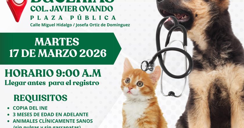 Invitan a jornada gratuita de esterilización en Bucerías