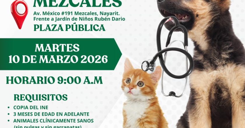 Gobierno de Bahía de Banderas invita a jornada gratuita de esterilización
