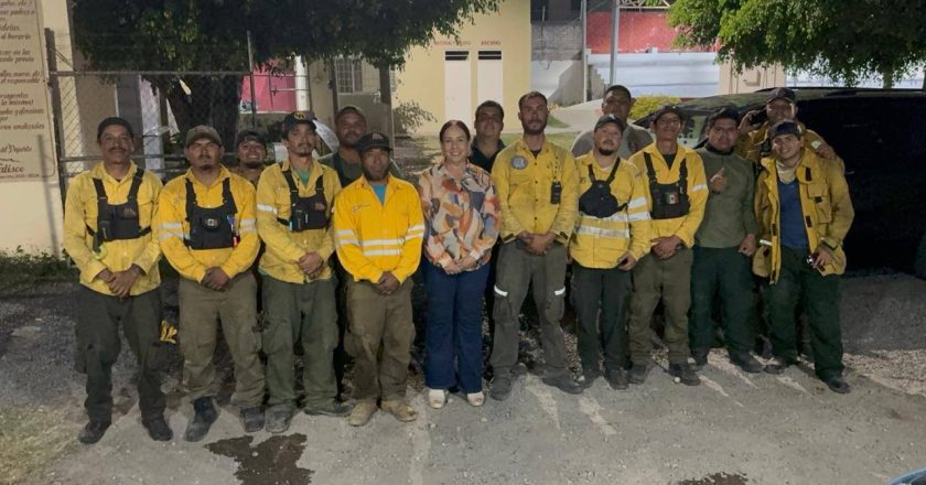 Brigadas logran controlar incendio de pastizal en la zona de Las Minas, en Xalisco