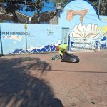 ¡El equipo de SISEP en acción!