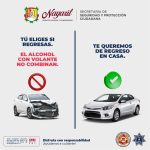 Tú eliges si regresas