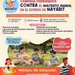 ¡DI NO AL MALTRATO ANIMAL! SÚMATE A LA CAMPAÑA EN NAYARIT