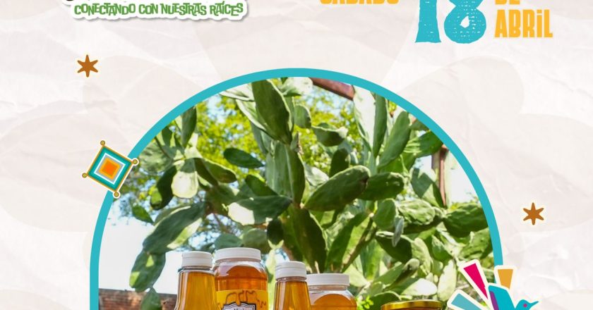 ¡APRENDE Y DISFRUTA LOS SABORES DE NAYARIT EN TALLERES ÚNICOS!