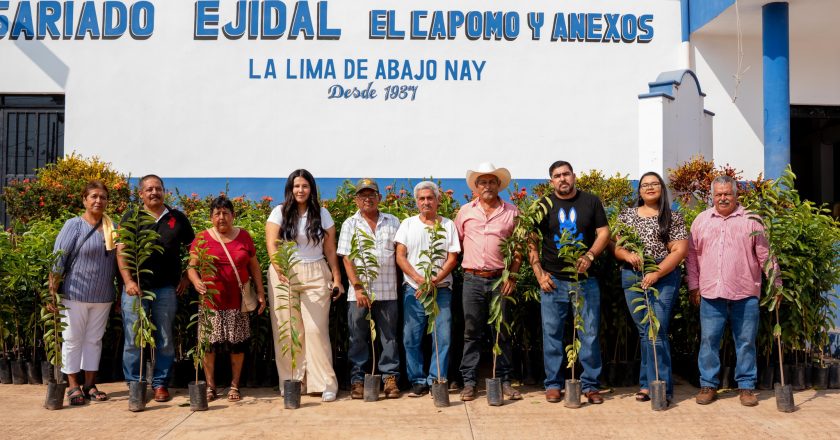 ¡IMPULSAN LA PRODUCCIÓN AGRÍCOLA CON REHABILITACIÓN DE HUERTOS DE GUANÁBANA!