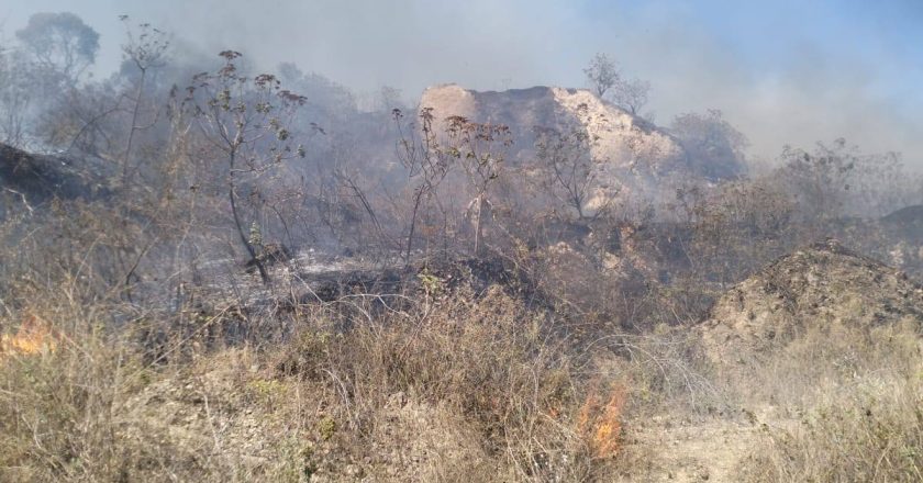 ATENCIÓN OPORTUNA A INCENDIO EN LA ZONA DE LAS MINAS