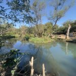 CONTINÚAN LABORES DE DESAZOLVE EN OJO DE AGUA DE SAN JOSÉ DE COSTILLA