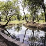 ¡Sumérgete en lo natural, vive Xalisco!