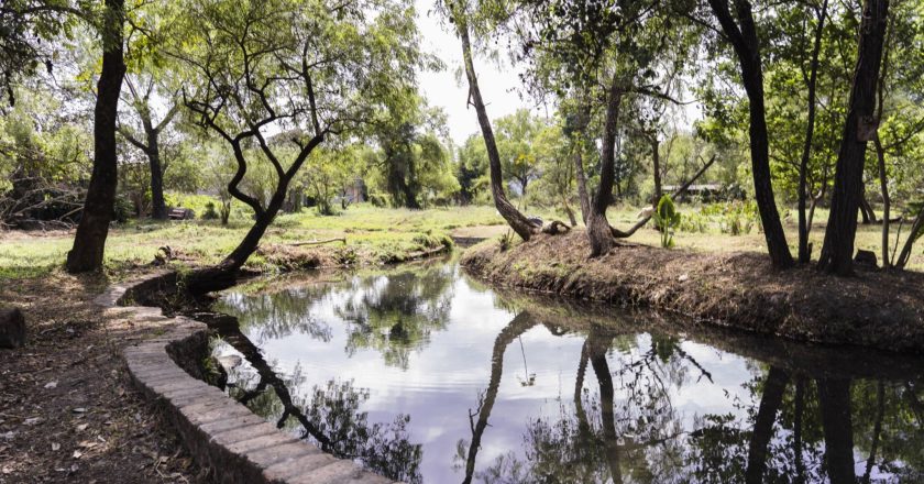 ¡Sumérgete en lo natural, vive Xalisco!