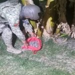 Acciones coordinadas fortalecen la seguridad en Nayarit