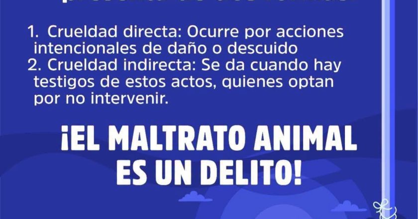 ¡Alto al maltrato animal!